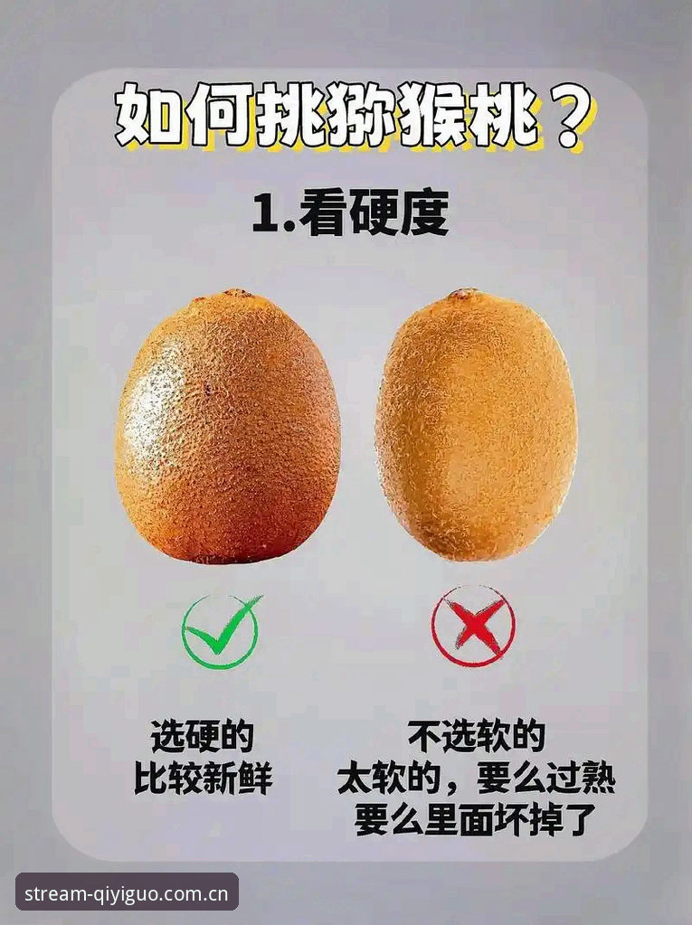 新手必看！奇异果体育教程哪个好？资深用户手把手教你选对方法
